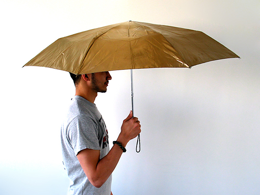 Ultrasonic umbrella